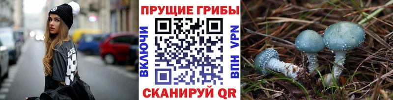 ОМГ ОМГ ONION  Алатырь  Галлюциногенные грибы Magic Shrooms  купить наркоту 