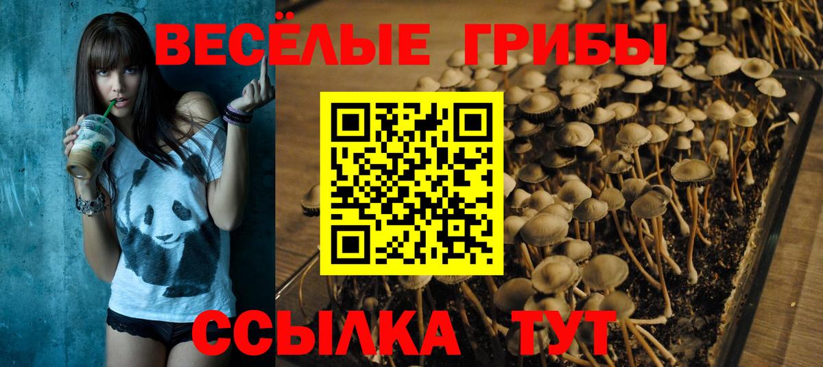 Псилоцибиновые грибы прущие грибы Алатырь