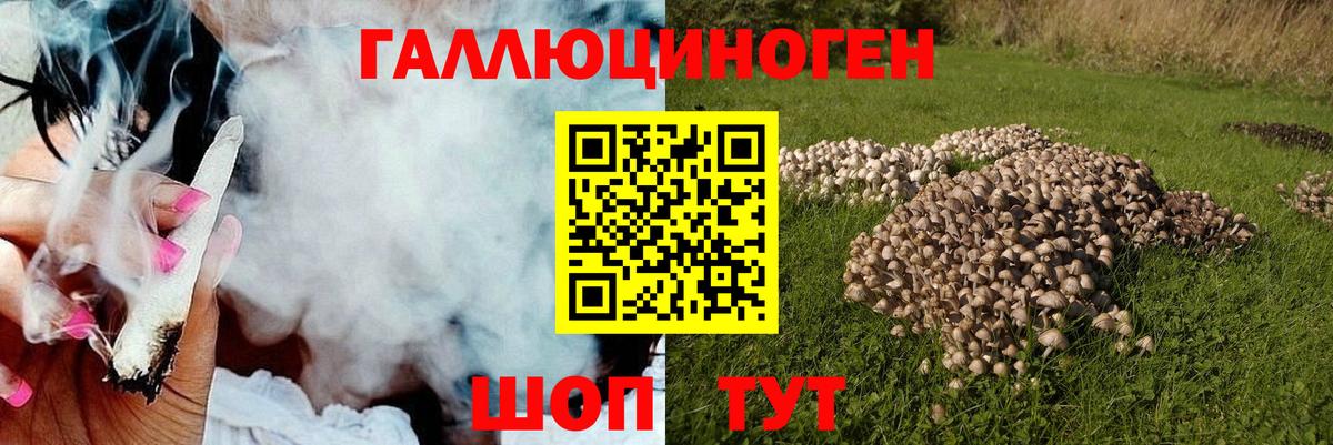 Псилоцибиновые грибы мухоморы Алатырь