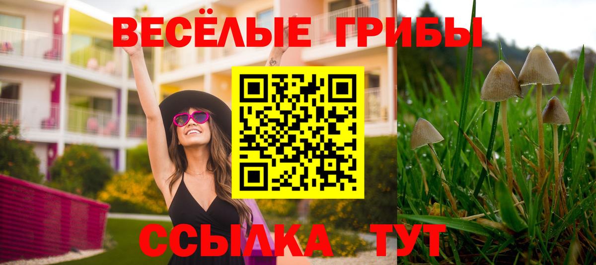 Псилоцибиновые грибы GOLDEN TEACHER  Вход с VPN  Галлюциногенные грибы MAGIC MUSHROOMS  Алатырь 
