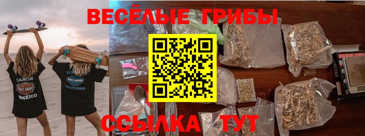 Галлюциногенные грибы мицелий  Вход с VPN  Алатырь 