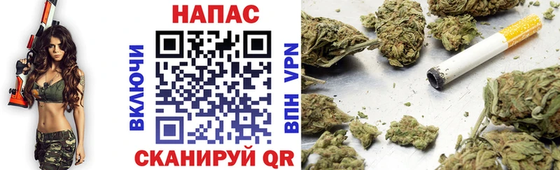 Каннабис сатива Алатырь